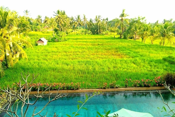 Inata Bisma Hotel Ubud